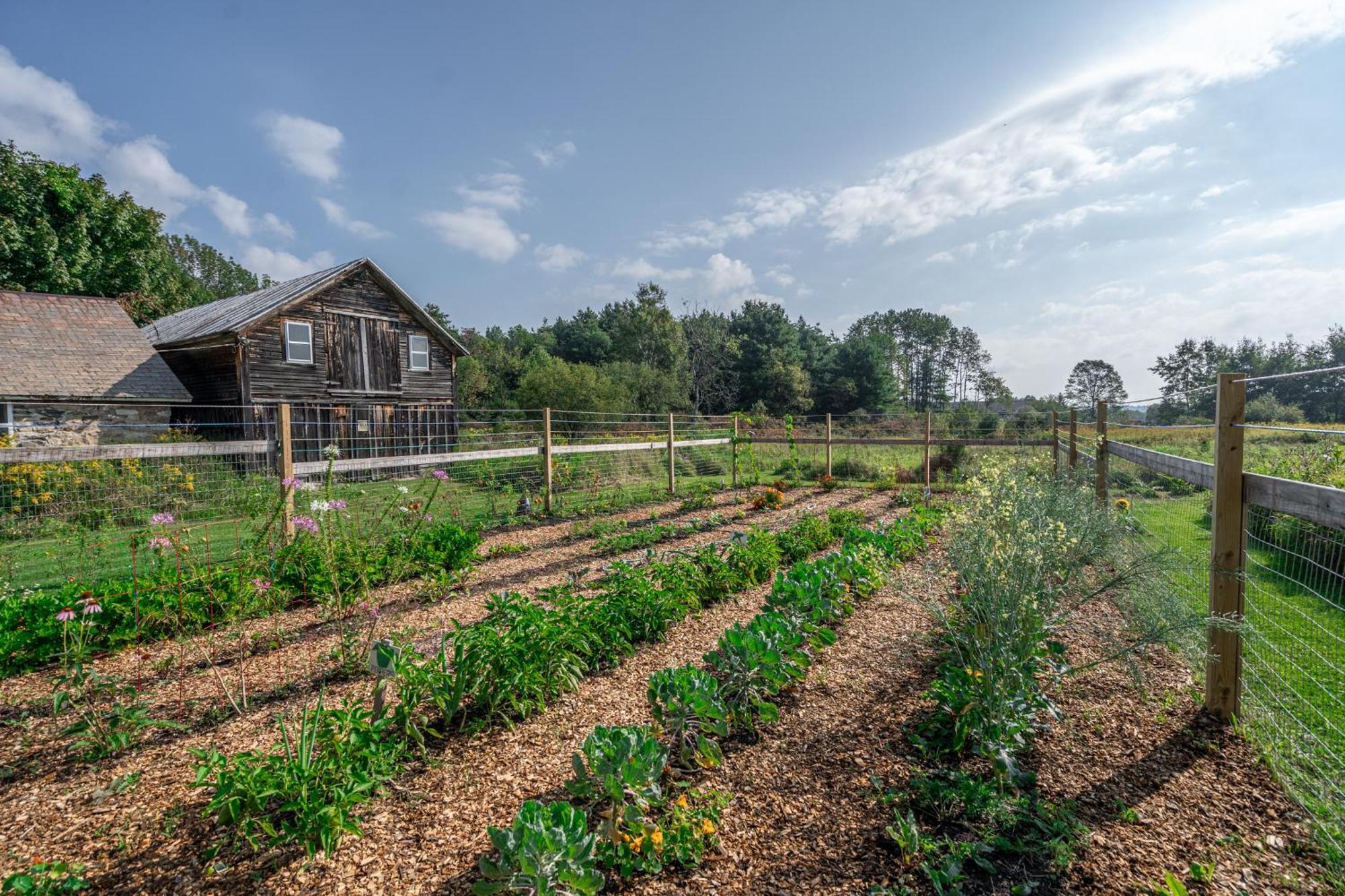 Saratoga Farmstead B&B Saratoga Springs Ngoại thất bức ảnh